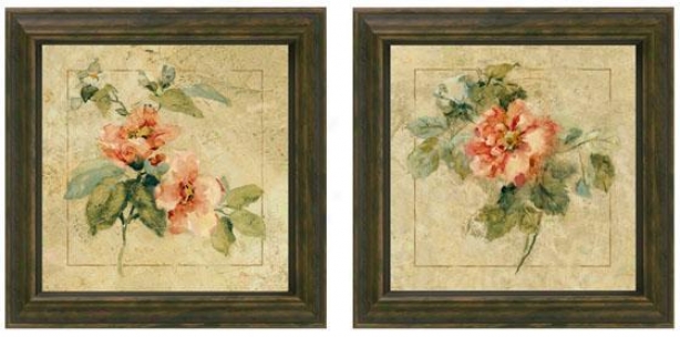 Provence Rose Framed Wall Skill - Set Of 2 - Ste Of Two, Cream