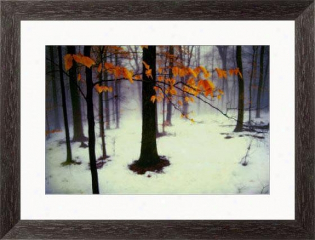 "quiet Woods Framed Wall Art - 25""hx33""w, Esprso Cube Frm"