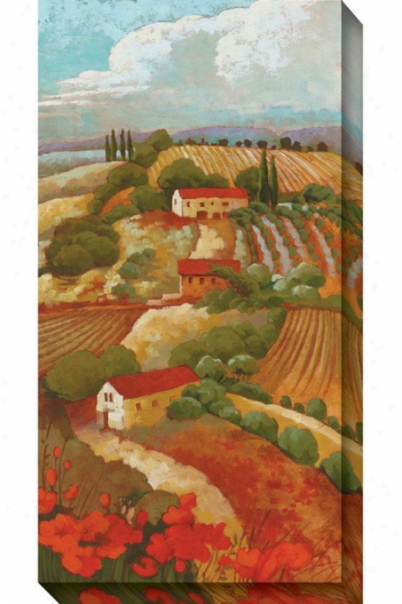 Red Tuscan Ii Canvas Wall Art - Ii, Red