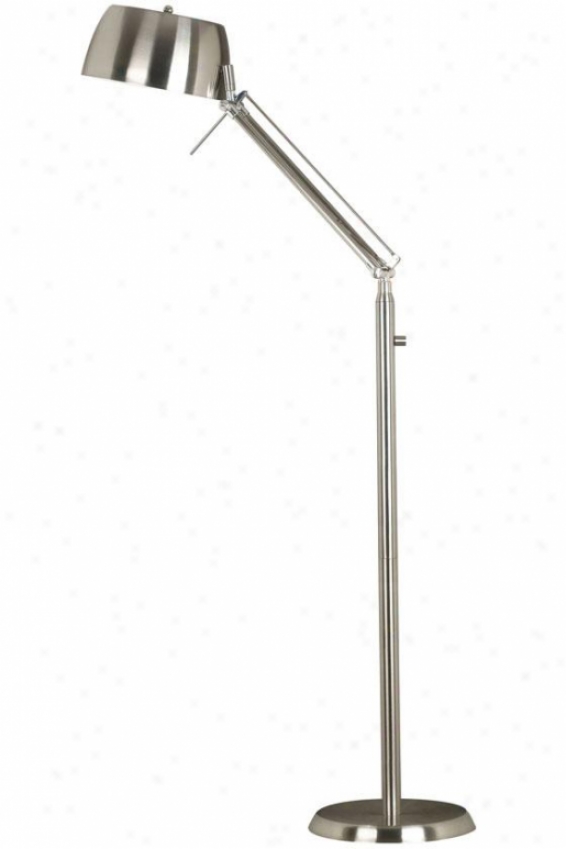 "reed Floor Lamp - 59""h, Brshd Steel/chr"