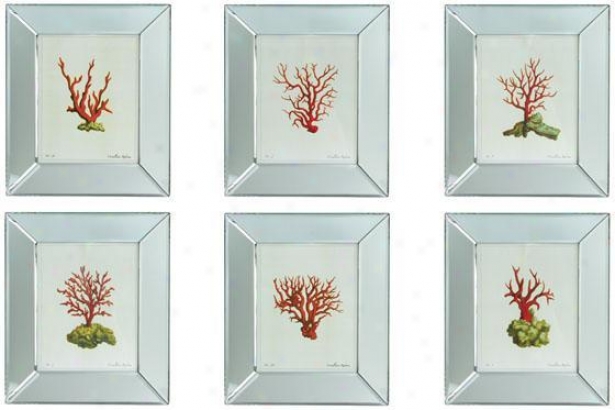 Reflections  Coral Wall Art - Set Of 6 - Set Of 6, White