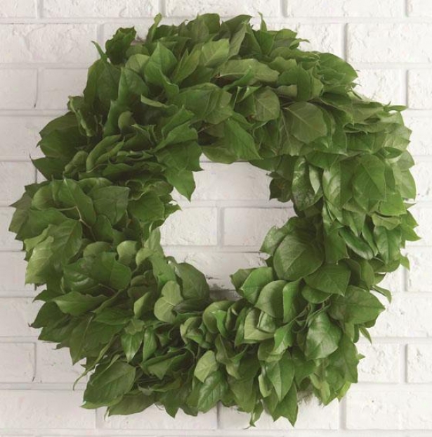 "salal Wreath - 18""h X 18""w, Green"