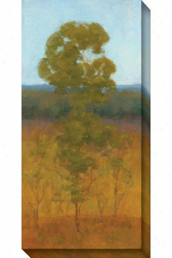 Solitary Tree I Canvas Wall Art - I, Inexperienced