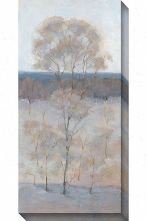 Solitary Tree Iv Canvas Wall Art - Iv, Gray