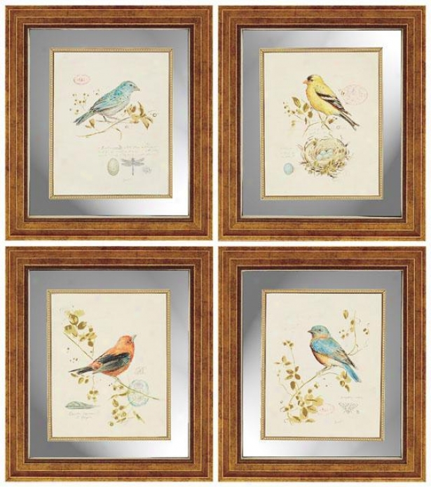 Songbirds Wall Art - Set Of 4 - Set Of 4, Ivory