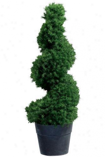 "springray Spiral Topiary With Tin Ceramic-like Base - 41""h, Back"