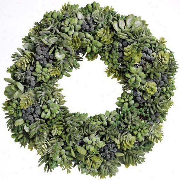 "succulent Wreath - 17""d, Green"