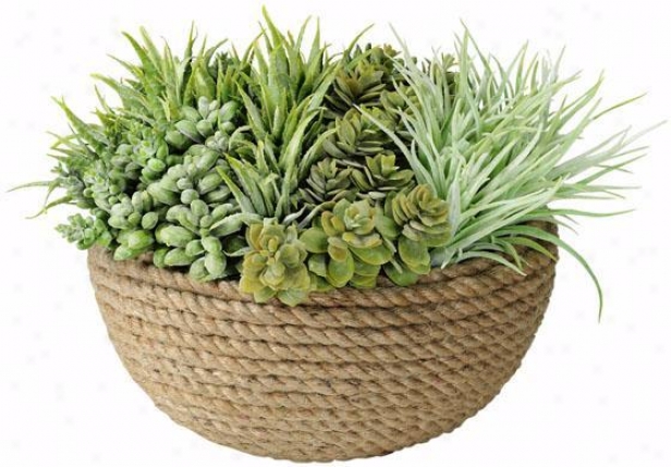 "succulents In Coiled Rope Pot - 12""h, Green"