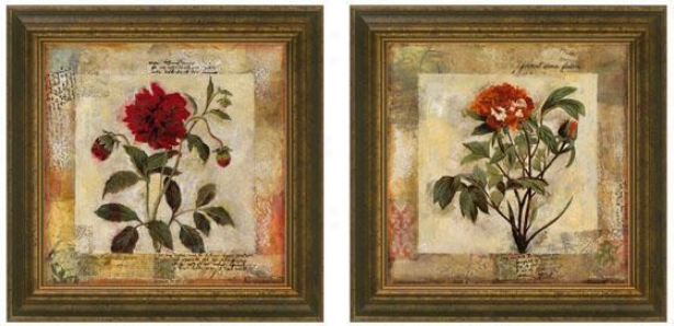 Summer's Inspiration Framed Wall Art - Set Of 2 - Set Of Two, Earthtones