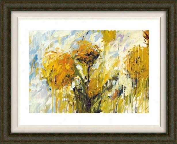 Sunflower Stare I Framed Wall Art - I, Fltd Espresso