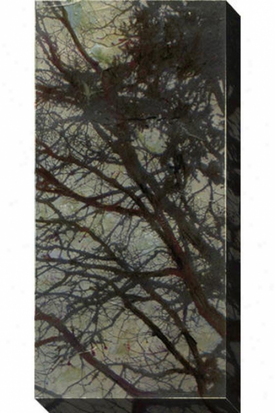 The Twilight Iv Canvas Wall Art - Iii, Gray