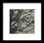 Enchanted I Framed Wall Art - I, Matted Black