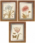 Fleurs Wall Art - Set Of 3 - Set Of 3, Ivoy