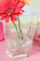 "monogram Friendship Vase - 6 X 4.75 X 2"", Clear"