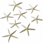 Starfish In Mesh Bag - Set Of 10 - Set Of 10, White