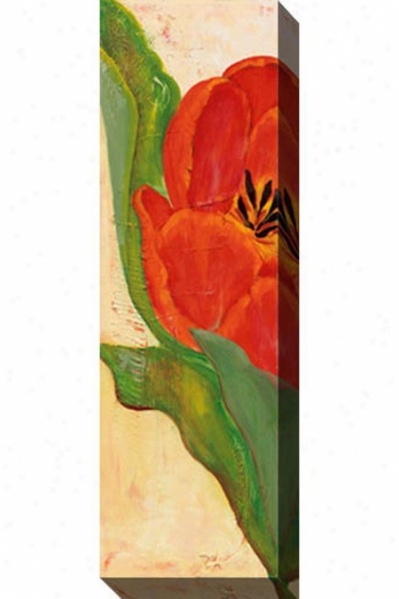 Tulip Ii Canvas Wall Art - Ii, Red