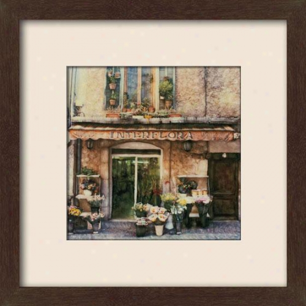 "vence Fleurs Framed Wall Cunning - 27""hx27""w, Matted Espresso"