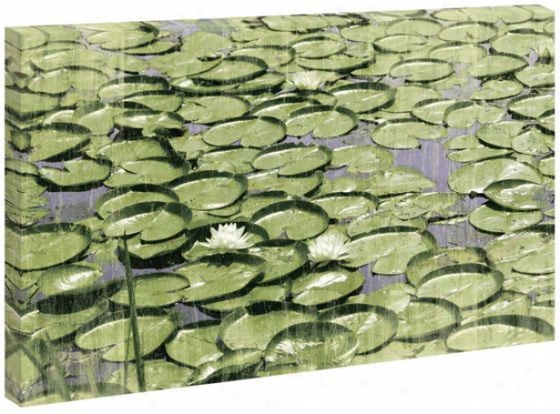 Take in ~ Lilies Wall Art - 36hx54wx1.5d, Green