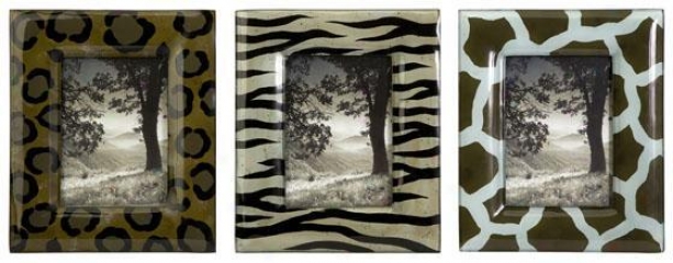 Wild Side Photo Frames - Set Of 3 - Set Of 3, Brown