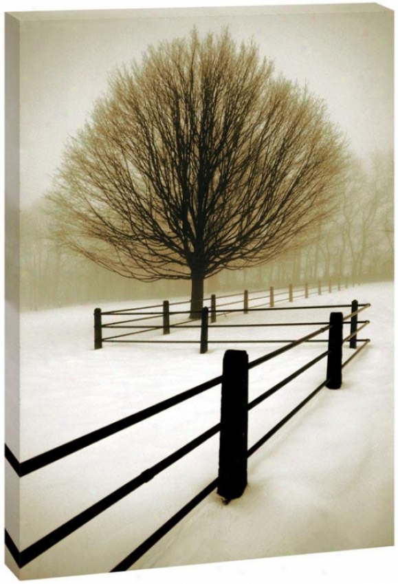 Winter Life Wall Art - 38hx50wx1.5d, Black