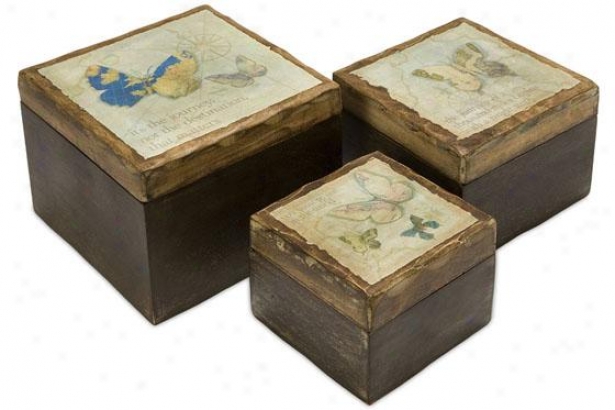 Worldly Butterfly Wood Boxes - Set Of 3 - Regular Of Three, Brown