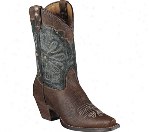 Ariat Daisy (women's) - Brown Oiled Rowdy/midnight Blue Full Grain Leather