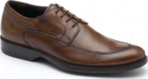 Bacco Bucci Senato (men's) - Brown Calf