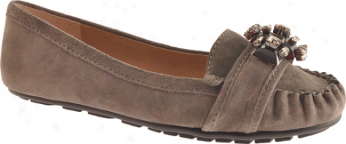 Bcbgeneration Calimero (women's) - Clove Supple Calf Suede