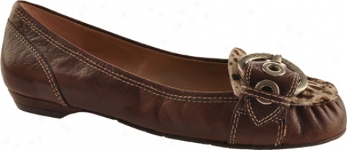 Bcbgeneratoin Dinia 2 (women's) - Chocolate/now Calcutta/leopard Pony