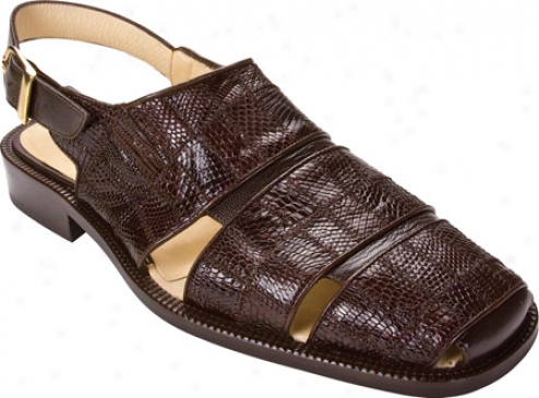 Belvedere Fumo (men's) - Brown Lizard