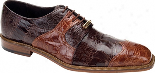 Belvedere Moscato (men's) - Brandy/brown Crocodile/ostrich