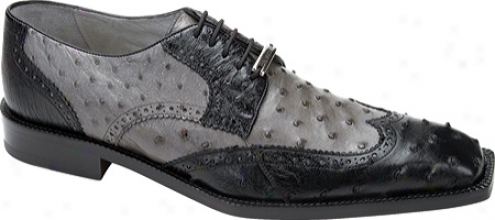 Belvedere Valente (men's) - Black/grey Ostrich