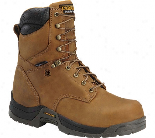 Carolina Ca8020 (men's) - Dark Brown