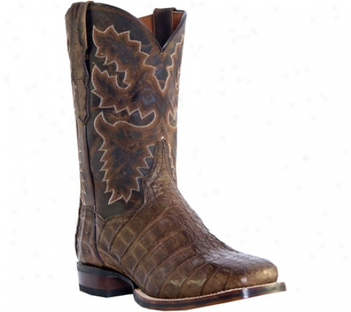 "dan Post Boots 11"" Apache Flank Caiman Dp2807 (men's) - Bay"