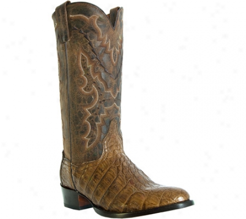 "dan Post Boots 13"" Apache Fkank Caiman Dp2392 (men's) - Recess "