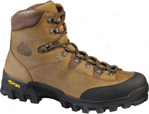 Danner Enterprise Gtx (men's) - Brown