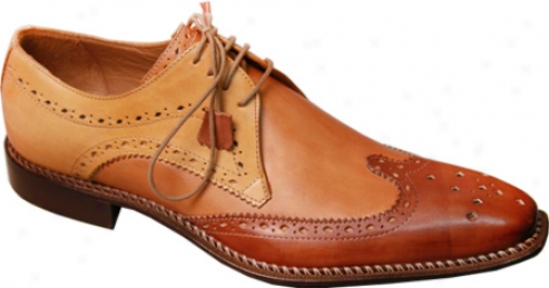 Giovanni Marquez 8946-tri Brown Leather (jen's)