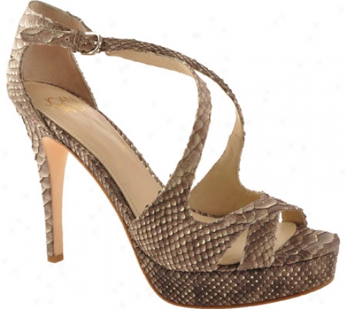 Joan & David Krissie (women's) - Brown Multi Reptile