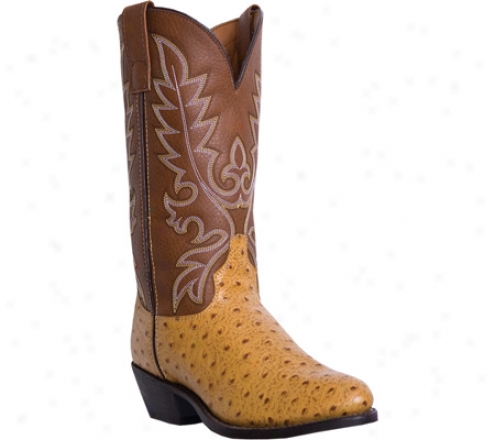 "laredo Prints 12"" 68032 (men's) - Pecan"