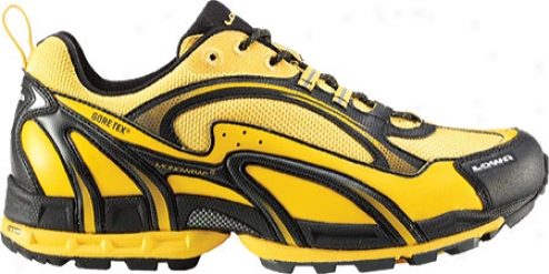 Lowa S-trail Gtx (men's)