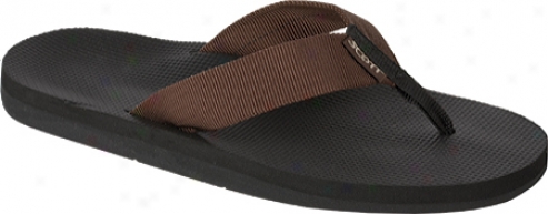 Scott Hawaii Makaha (men's) - Brown