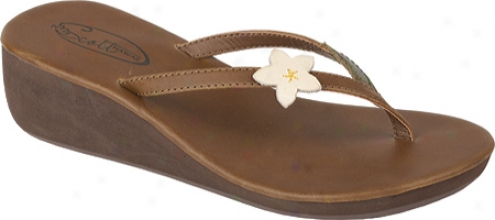 Scott Hawaii Pualani-tan (women's)