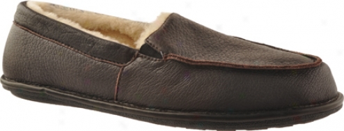 Smartdogs Cody (men's) - Brown