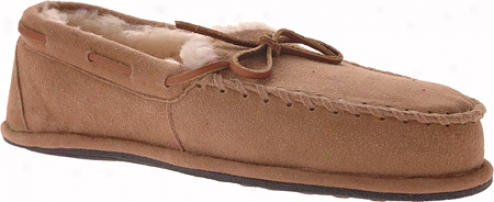 Smartdogs Whisper (women's) - Camel