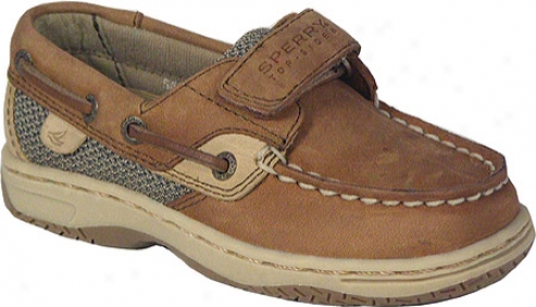 Sperry Top-sider Buefish H&l (infant Boys') - Chocolate Leather