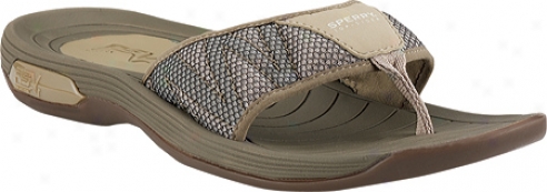 Spetry Top-sider Coastal Runner Thong With Asv (men's) - Taupe