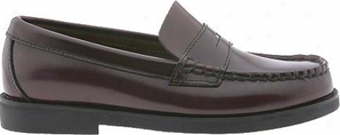 Sperry Top-sider Colton (boys') - Burgundy Brush Off