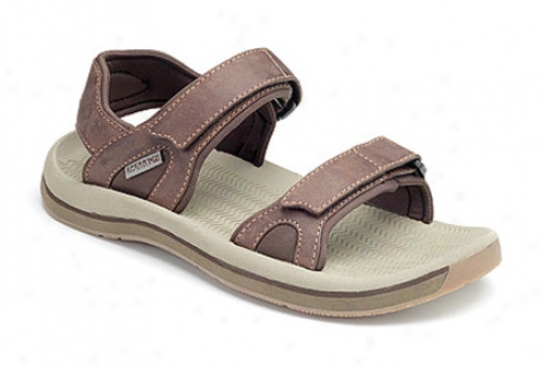 Sperry Top-sider Santa Cruz 2 Strap (men'z) - Chocolate