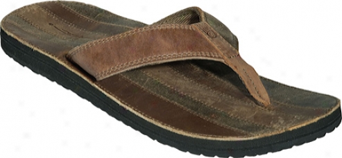 Teva Bowen Coaastal (men's) - Brown