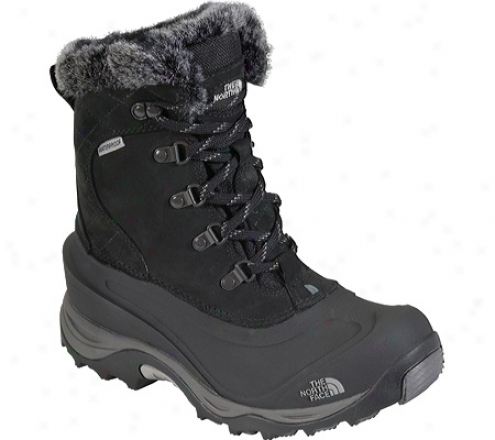 The Northerly Face Mcmurdo Ii (women's) - Black/black